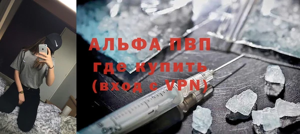 СК Алексин