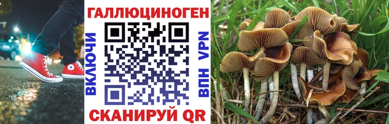 Купить где  Киренск  Галлюциногенные грибы Magic Shrooms 
